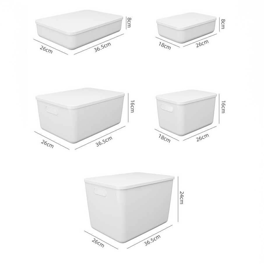 Plastic Storage Container, Small, with Lid | HK Basics