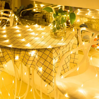 LED String Mesh Net Lights home decor
